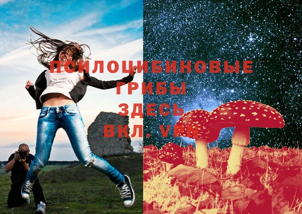 хмурый Алзамай